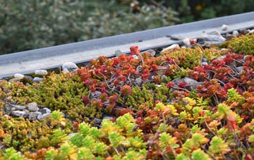 the cost of Talewater green roof installation