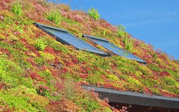 Talewater living roof systems